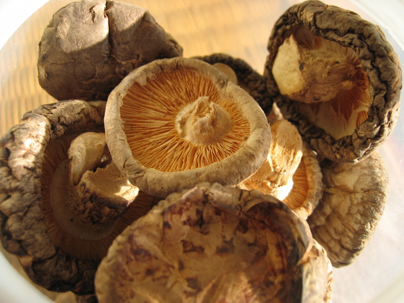 How To Dry Mushroom